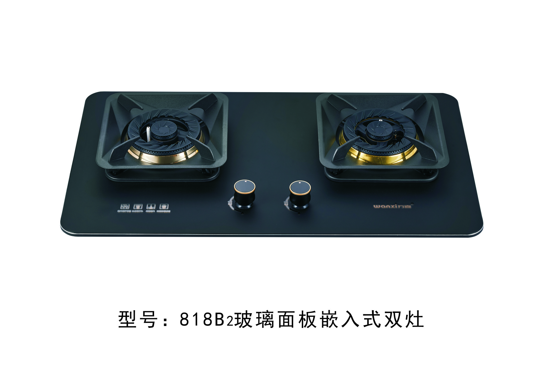 818B2钢化玻璃面板嵌入式双炉