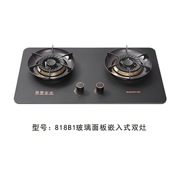 818B1钢化玻璃 面板嵌入式双炉