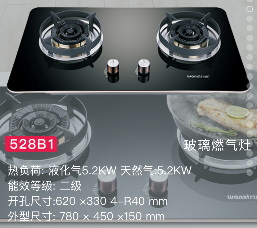 厨房燃气灶怎么选?先看看这四点(图2)