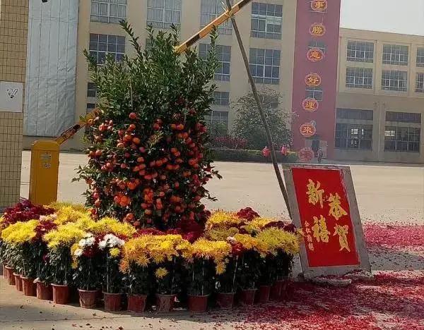 万喜电器2021年2月动态(图7)