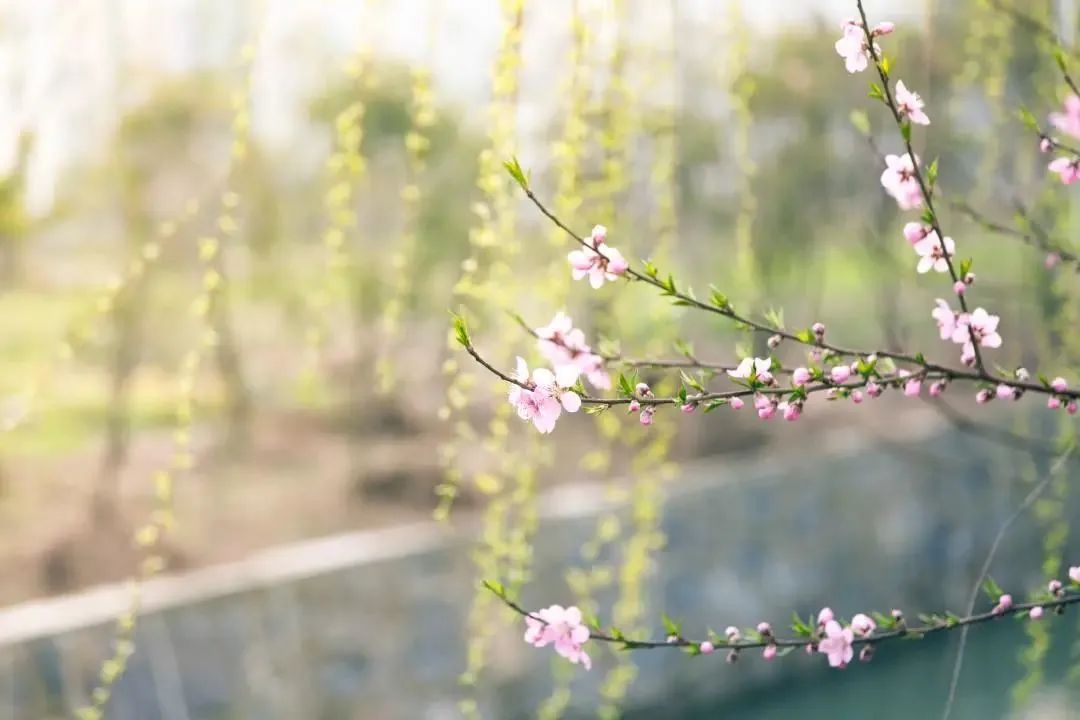 万喜电器|春分时节，你养生了吗?
