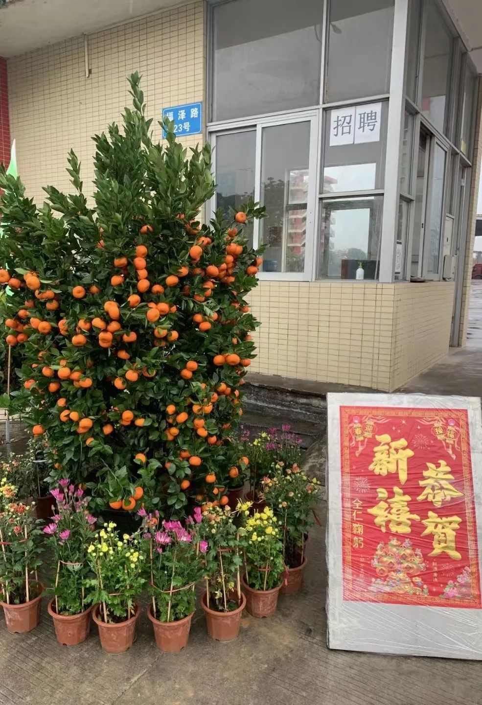 万喜开工大吉 | 整装待发 共赴新程(图21)